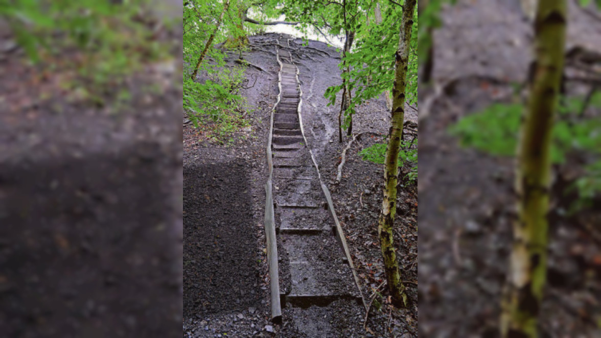 Das Saarland kann touristisch mit seinen vielen Wanderwegen punkten