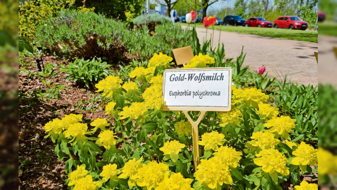 Vorbild für nachhaltige Gärten, Lebensraum für Insekten und Vögel, Ort