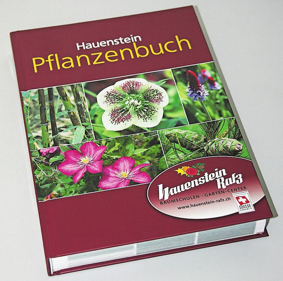 Darf’s ein bisschen opulenter sein? Gefüllte Tulpen sind eine Klasse für sich-2