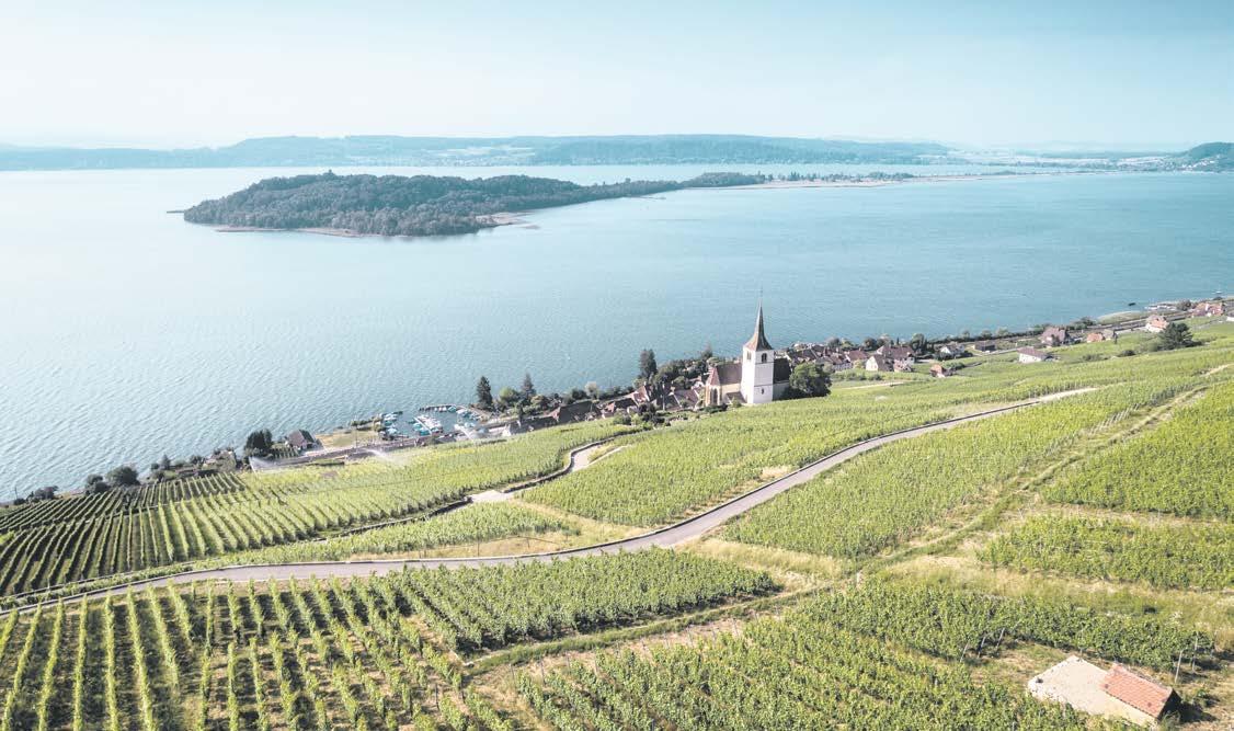 Reif für die Insel