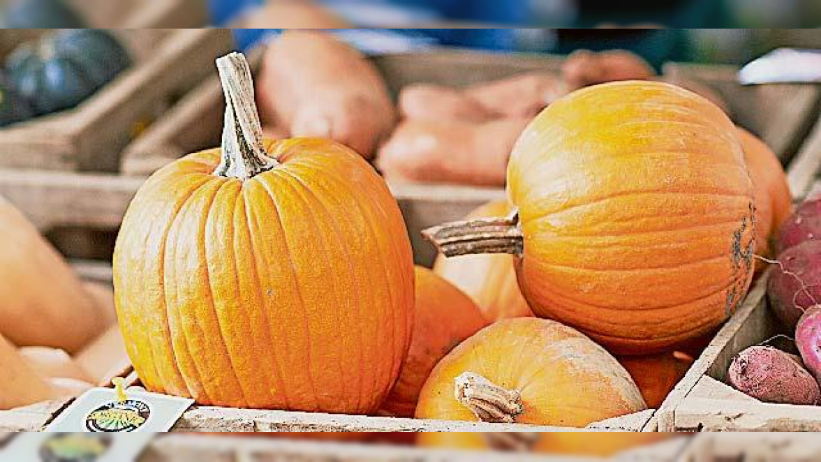 Gesunde Herbstküche mit Kürbis, Spitzkohl und Co. - Trierischer Volksfreund