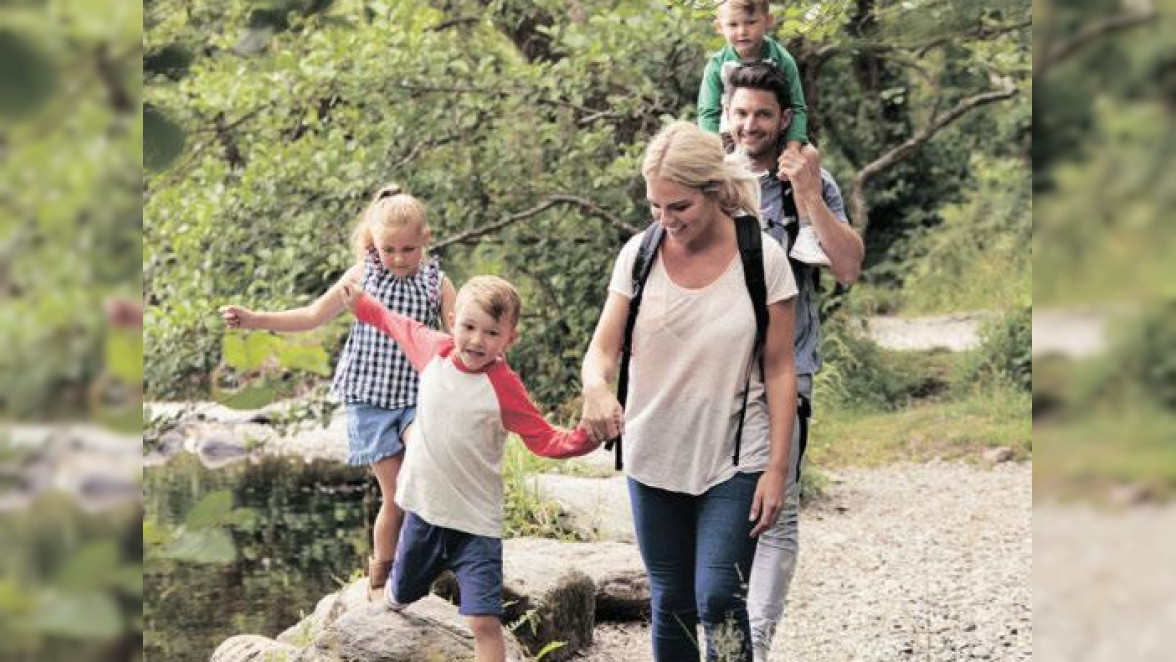 Mit Willi Basalt durchs Gerolsteiner Land Trierischer Volksfreund