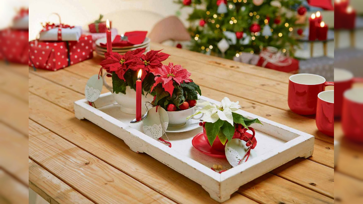 DIY-Tipp zum dritten Advent - Upcycling trifft Vintage: Adventliche Tischdekoration mit Weihnachtssternen