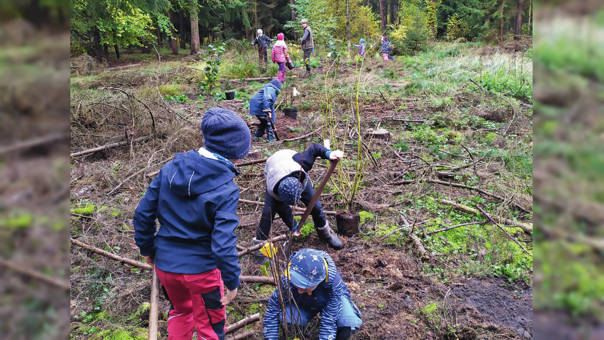 Grundschulkinder erleben Wunderwald bei Naturprojekt in Bokelberge