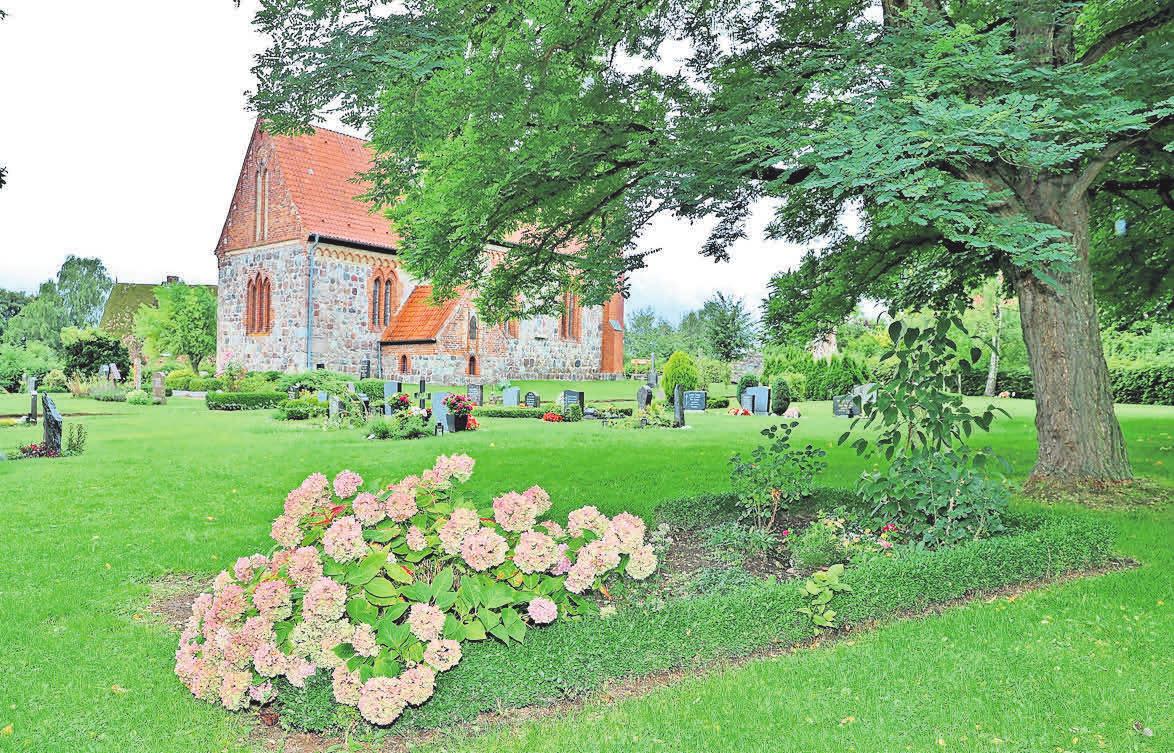 Günter Grass ruht auf dem Friedhof Behlendorf: Eine App erinnert an das Leben und Werk des 2015 verstorbenen Künstlers. Foto: Thomas Biller