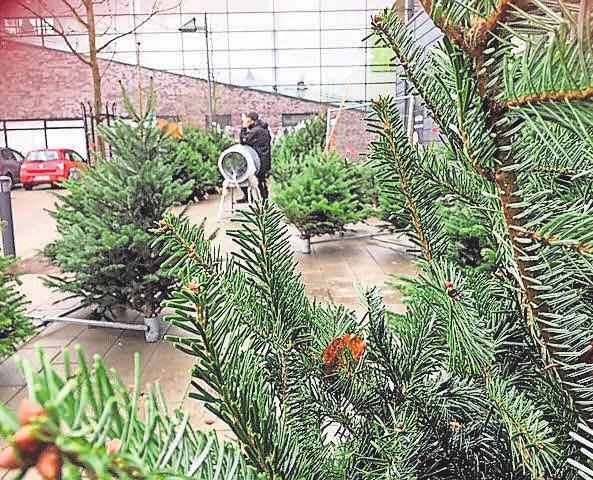 Weihnachtsbaumverkauf im Campus Center im Hochschulstadtteil. Foto: HFR