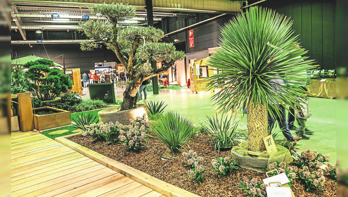 Jardirêve-Gartenmesse in der LuxExpo the Box: Mehr als 870 m² Modellgarten voller Inspiration