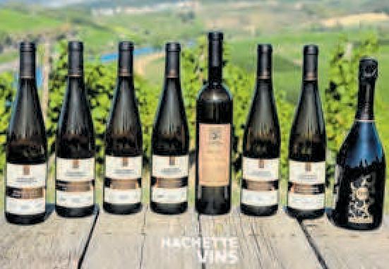 Feste feiern mit feinsten Weinen-2