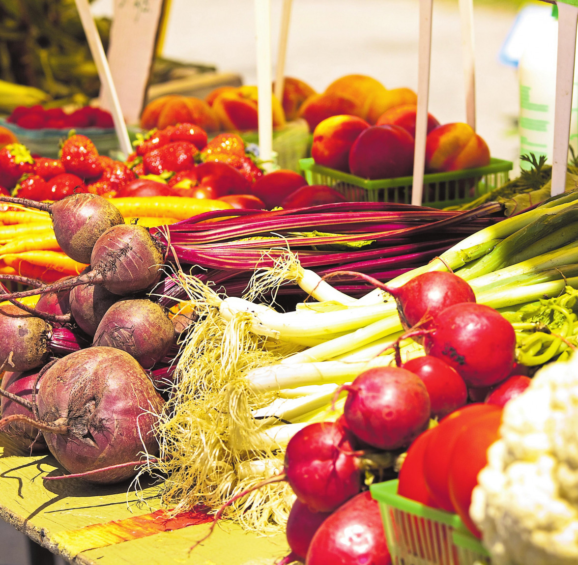 Neue Wege in der Landwirtschaft-2