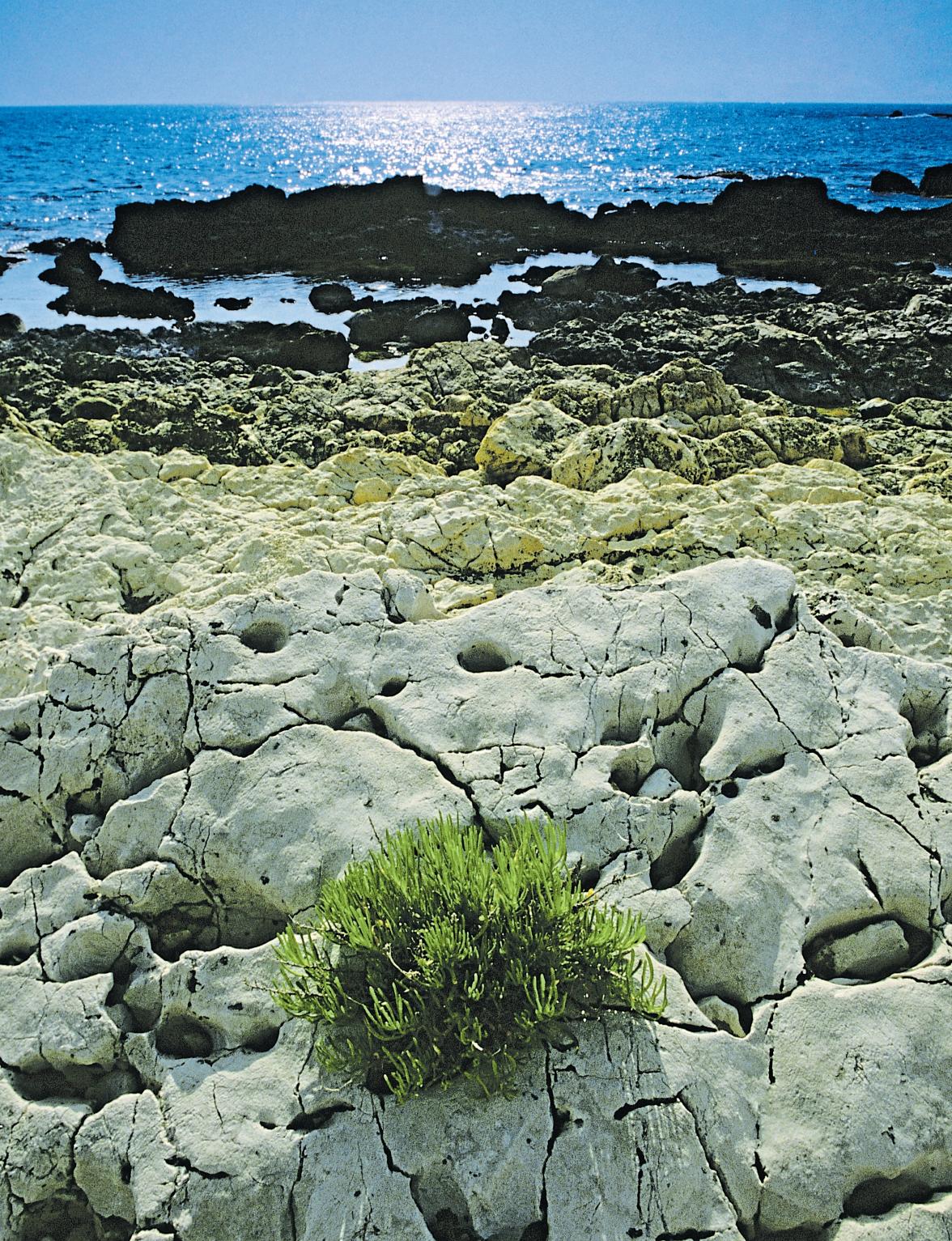 Eine Reise ins messinische Land-5