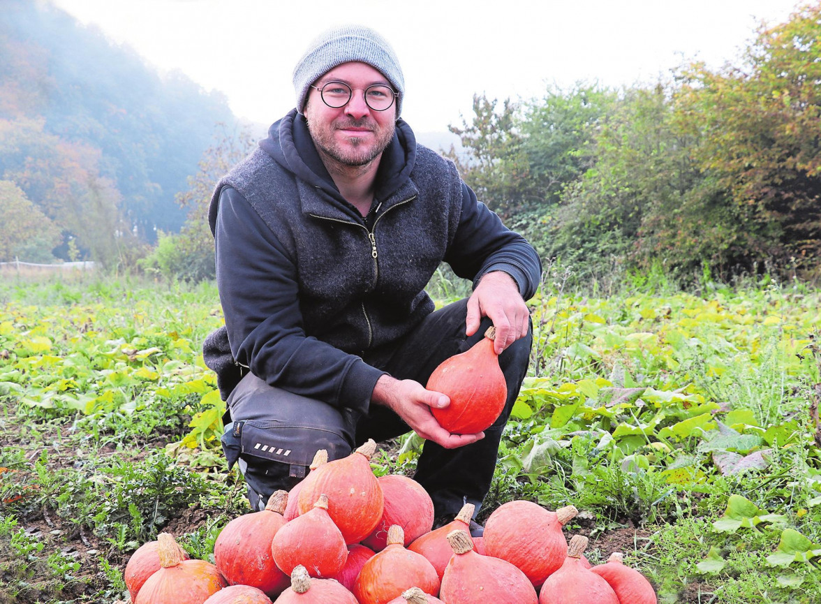 Mit Kartoffeln & Co. gestärkt in den Herbst: Bio-Gromperen von Biog Lëtzebuerg in Munsbach-2