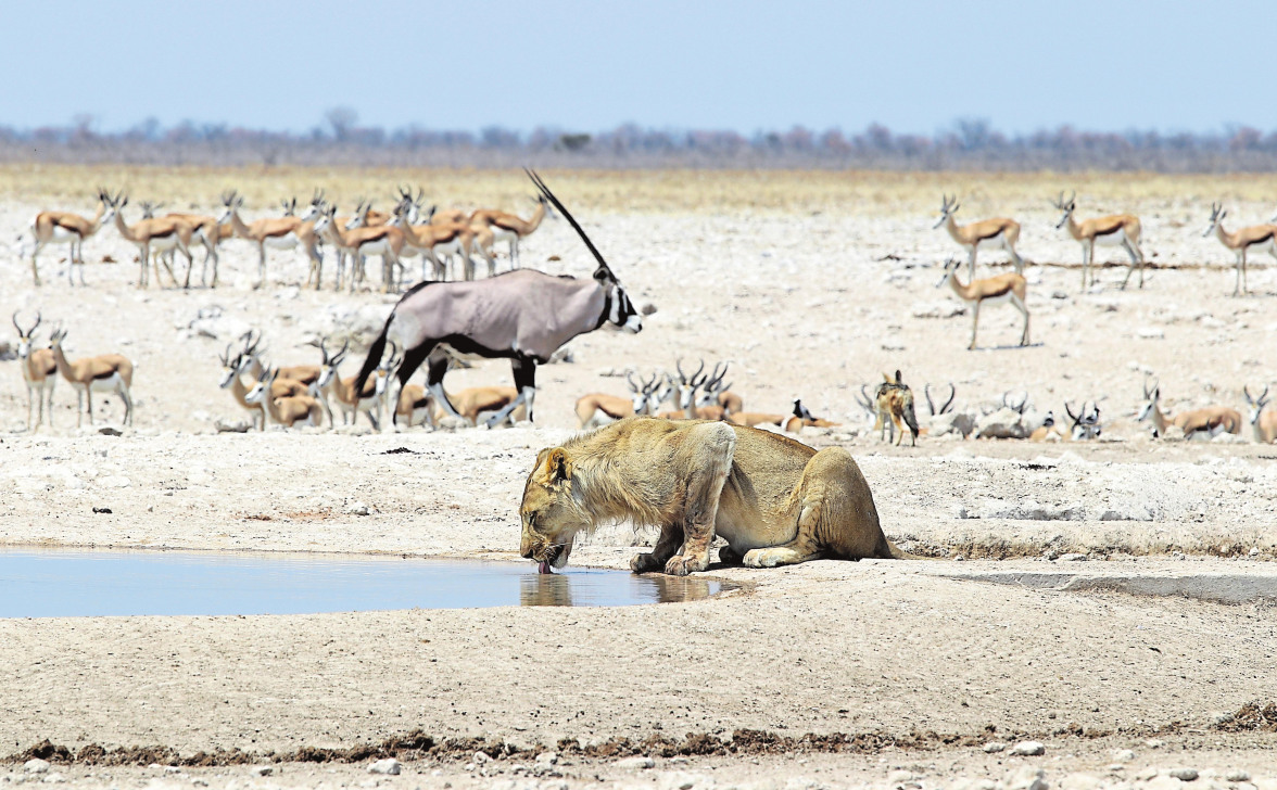 Namibia hautnah – Ein begleitetes Allrad-Abenteuer zwischen den Jahren-4