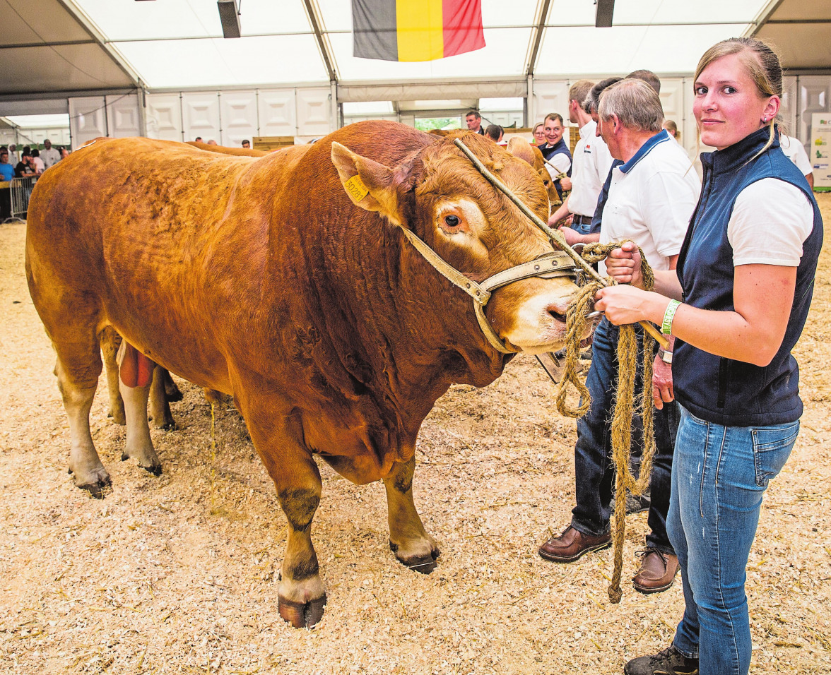 Effiziente Arbeit dank hervorragender Beratung-4