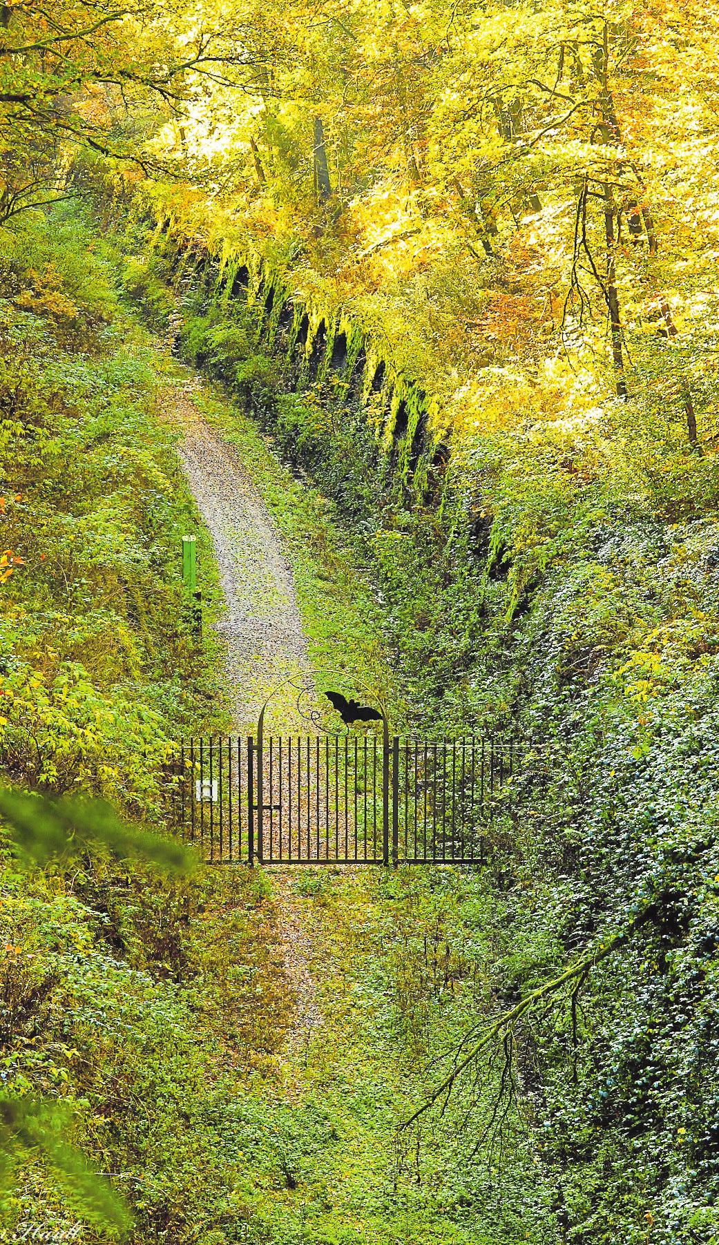 Mehrfach prämierter Bahntrassen-Radweg-3