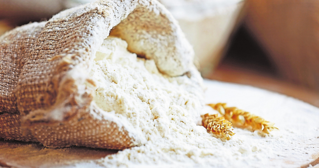 Cinq pains biologiques du terroir-10