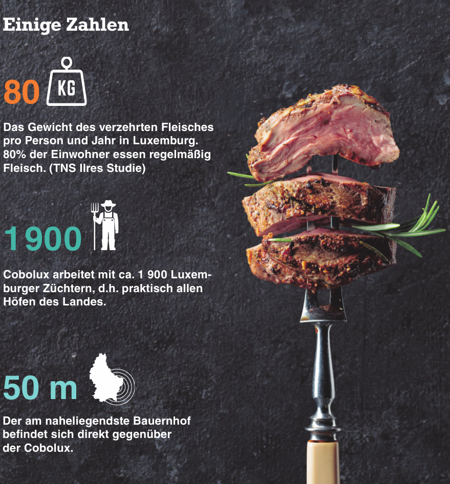 Nachhaltig & umweltgerecht Fleisch essen-2