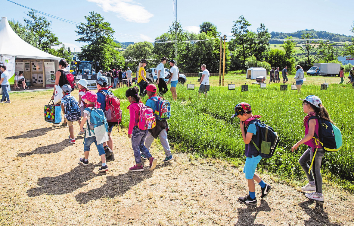 „Die Begeisterung der Kinder ist immer sehr groß“-3