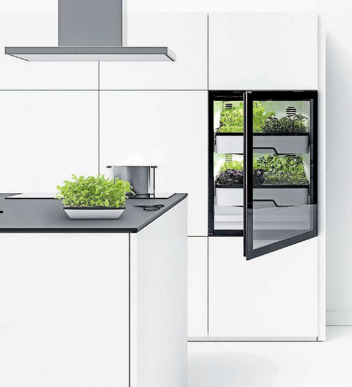 Design-Gewächshaus in der Küche-2
