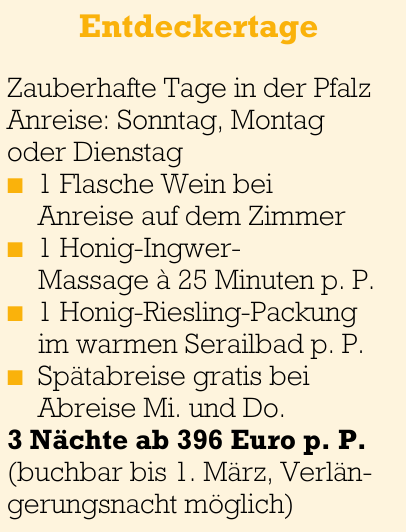 Das Urlaubsparadies in Dahn-3