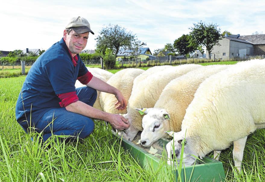 Un label pour l’excellente viande d’agneau locale-2