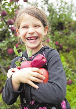 Kinder für Gemüse & Obst begeistern-3