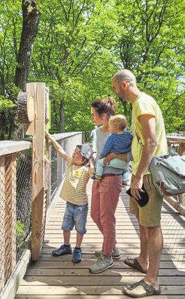 Ein Sommertraum in luftigen Höhen-3