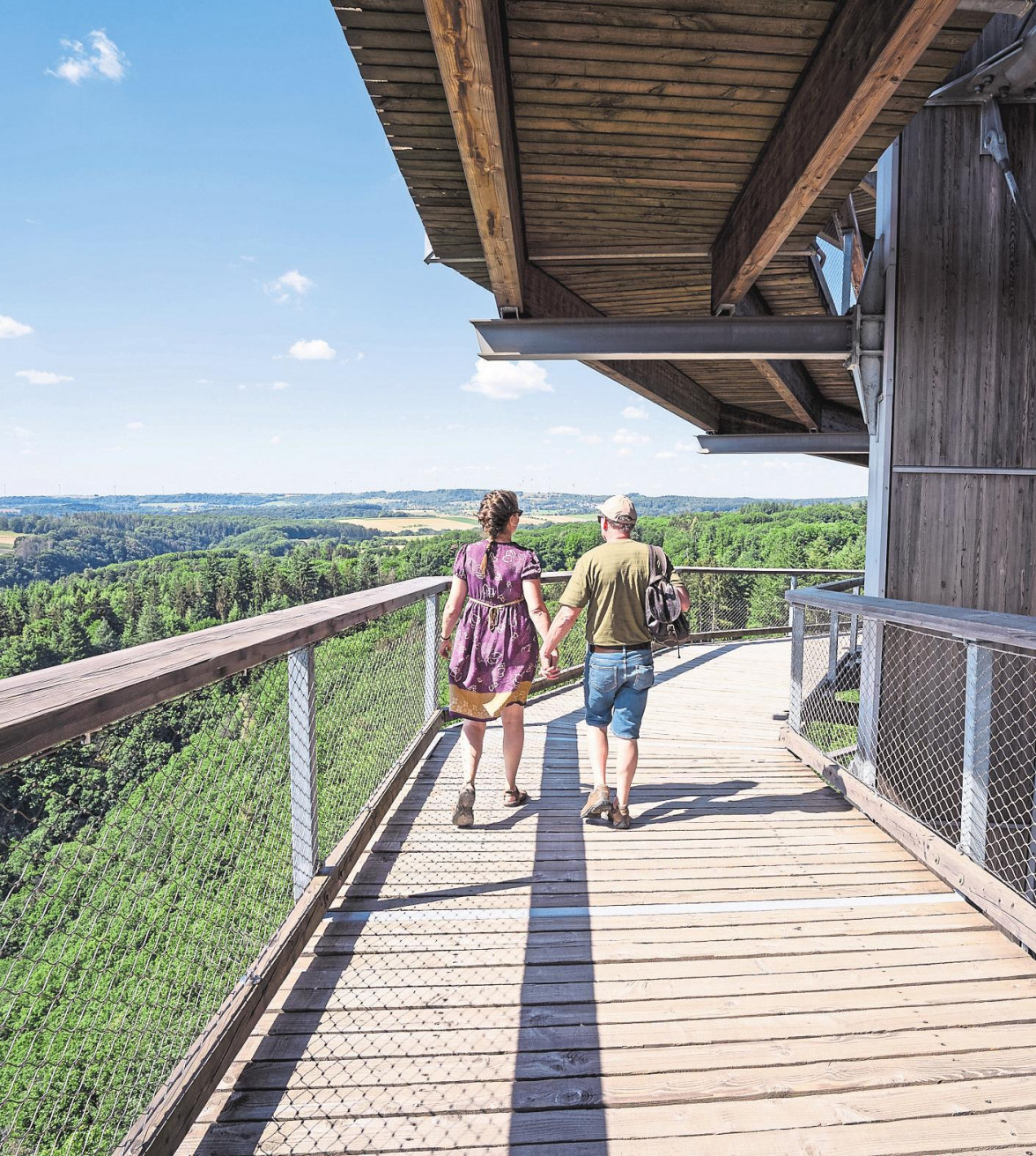 Wipfelabenteuer für die ganze Familie-2