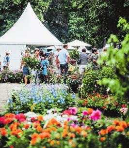 Découvrez les tendances du jardinage-2