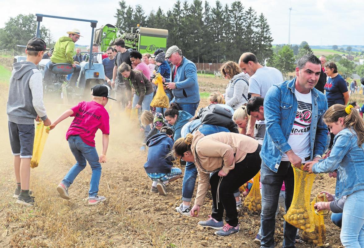 Weiswampach in einigen Zahlen-3