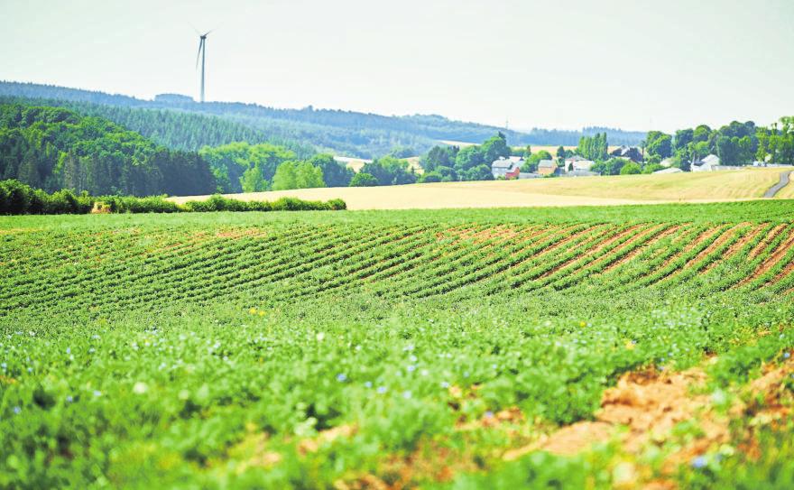 Im Einklang mit der Natur und zum Wohl der Konsumenten-5