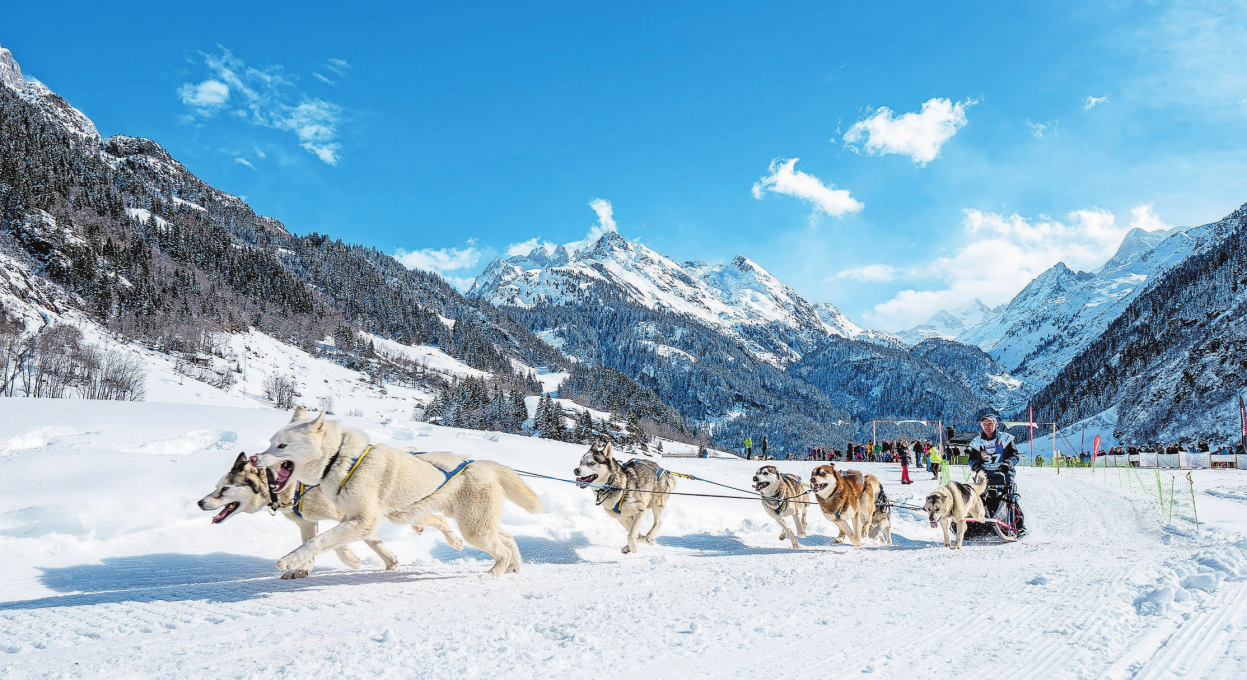 Luzern: Infos, Tipps und Winterhits - Winterwanderungen, Restaurants und mehr