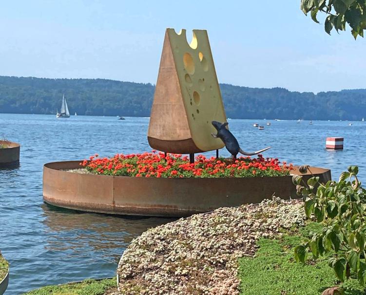 NSU-Senioren entdecken Landesgartenschau in Überlingen-2