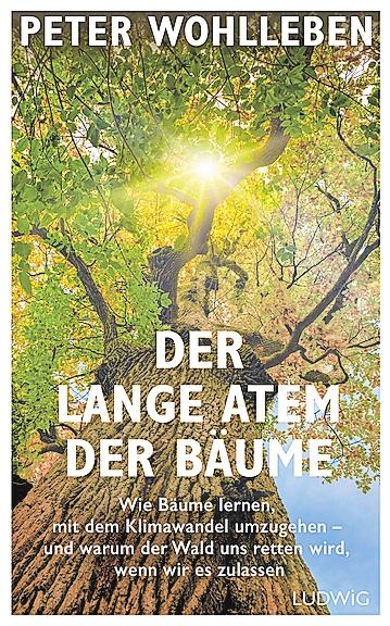 Reiners Bücherkiste-2