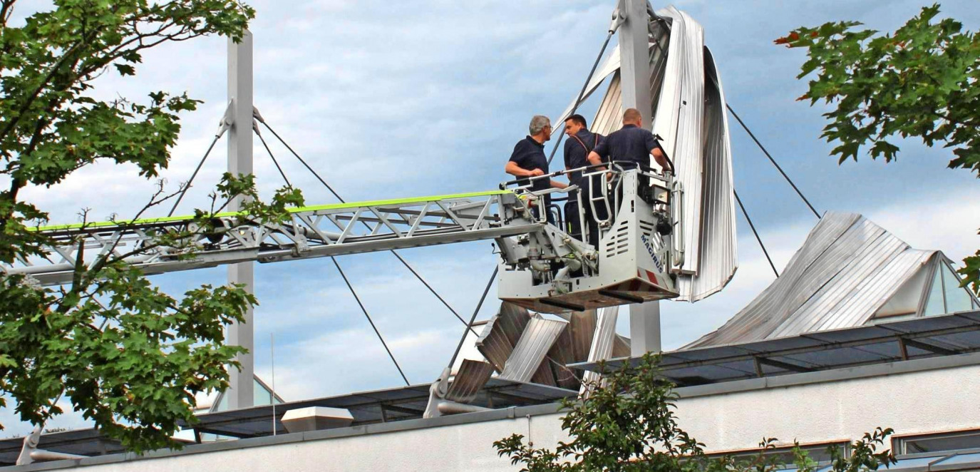 Neckarsulmer Stimme-2