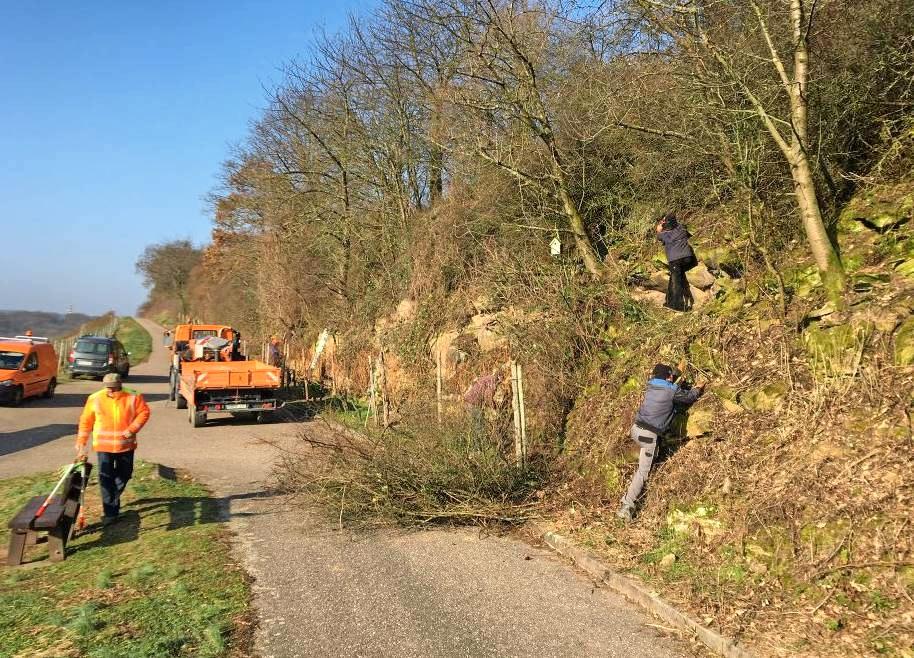Lesung aus „Tausend Zeilen Lüge“-3