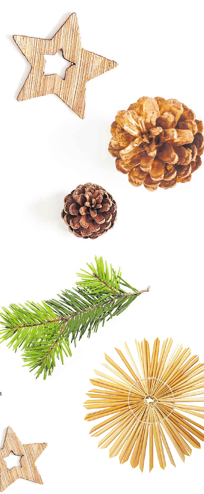 Grüne Weihnachten sind kunterbunt-4