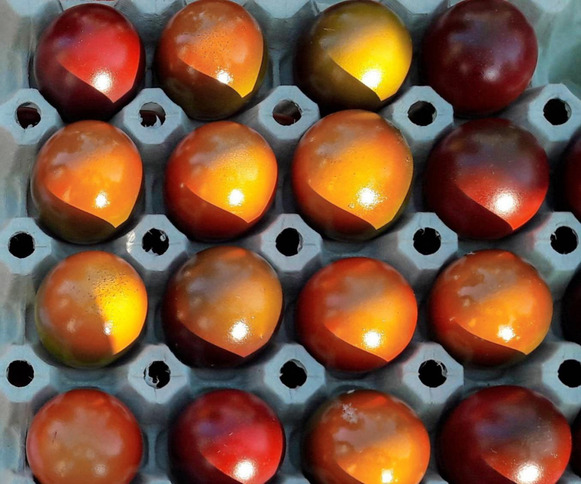 Neckarsulmer Grünpatenschaften für Bäume & Grünflächen-2