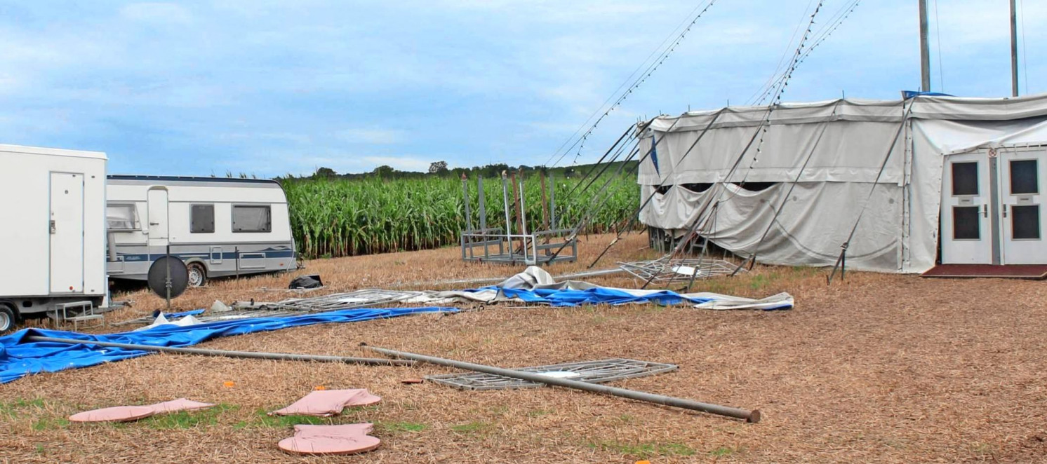 Neckarsulmer Stimme-3