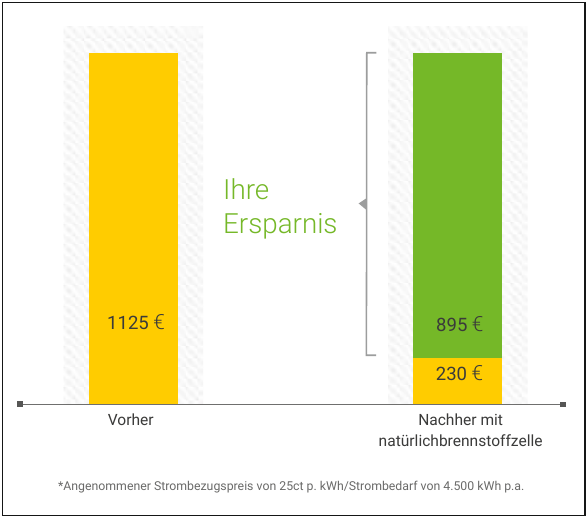 Doppelt stark: die Brennstoffzellenheizung-2