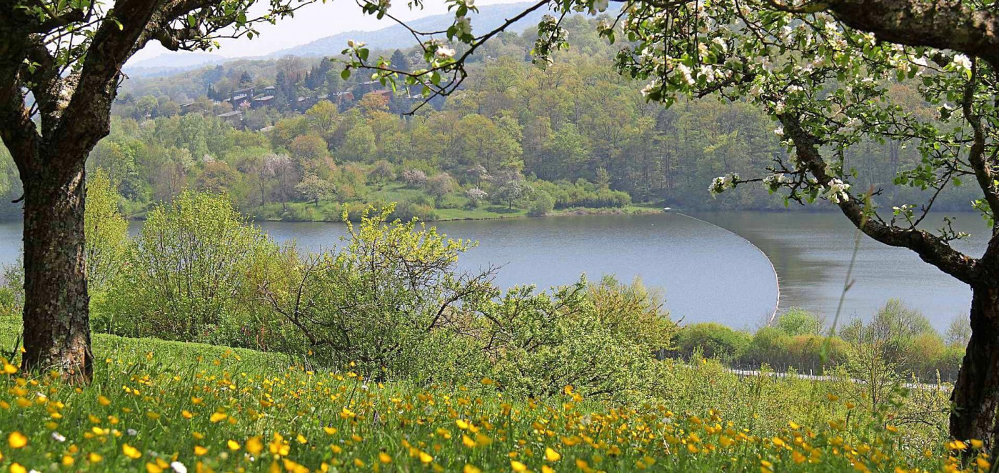 Lesung aus „Tausend Zeilen Lüge“-2