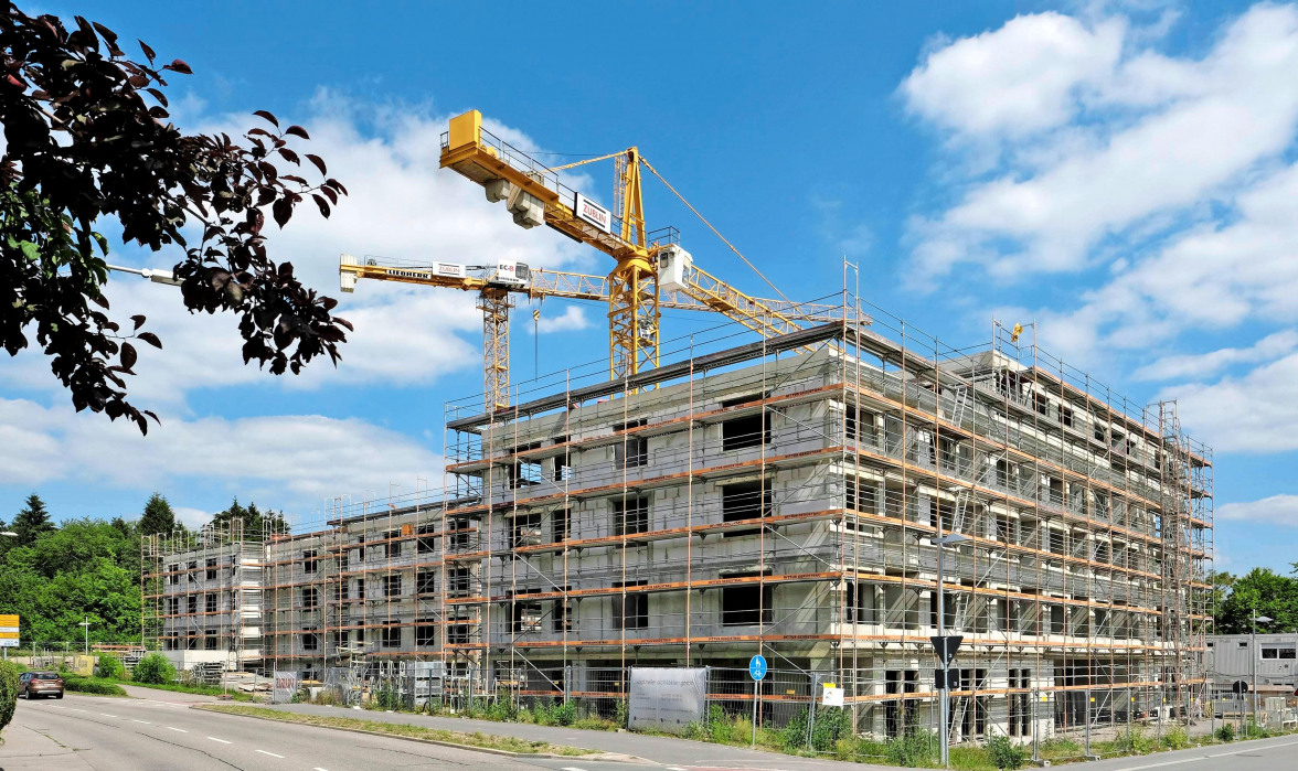 Neckarsulmer Stimme-2