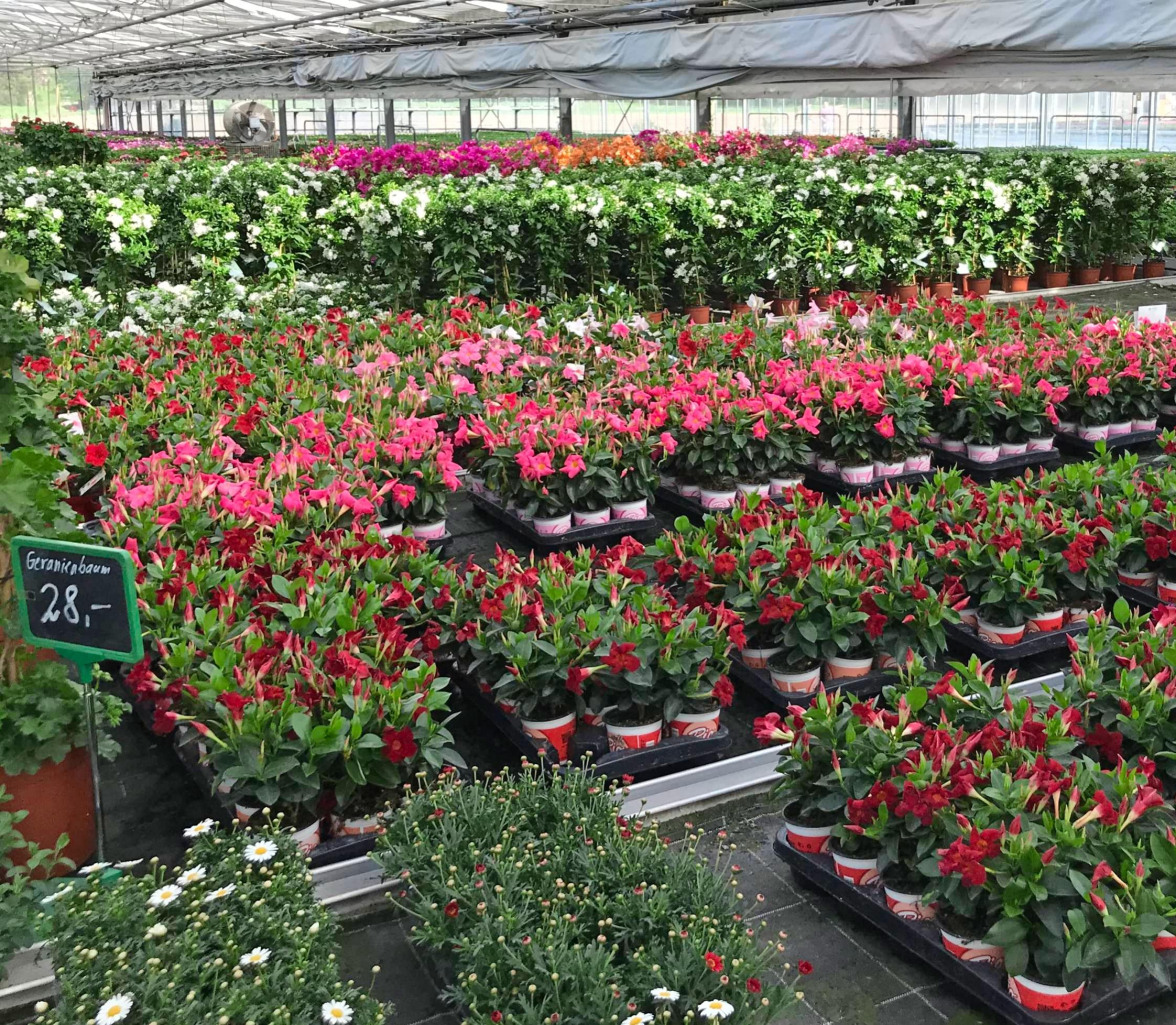 Naturpark Stromberg-Heuchelberg: CoroNaturparkTipps & Filme-3