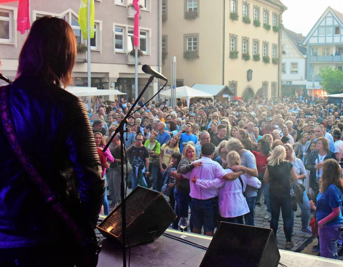 Neckarsulmer Stimme-3