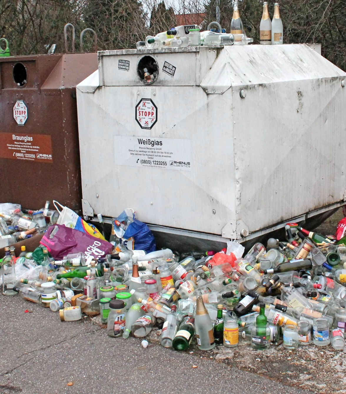 Neckarsulmer Stimme-2