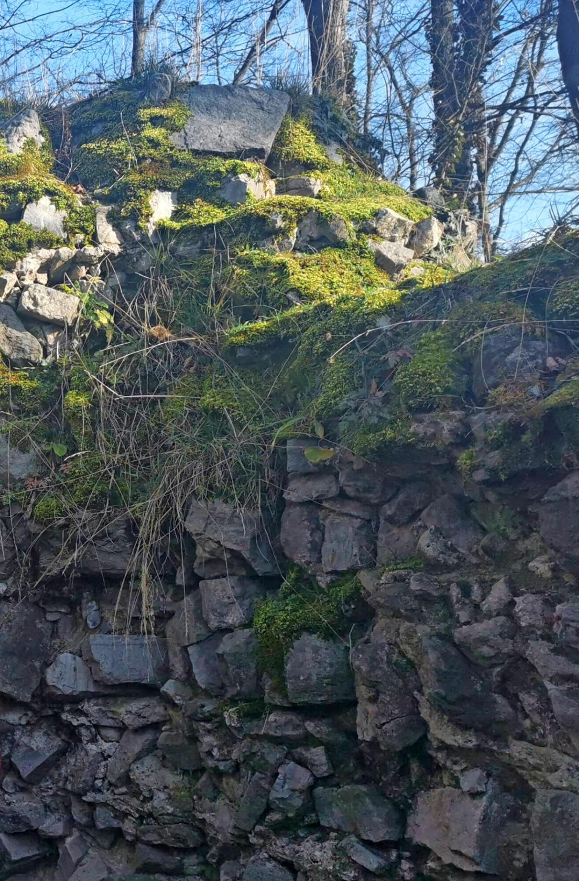 In sieben Stücke gehackt-2