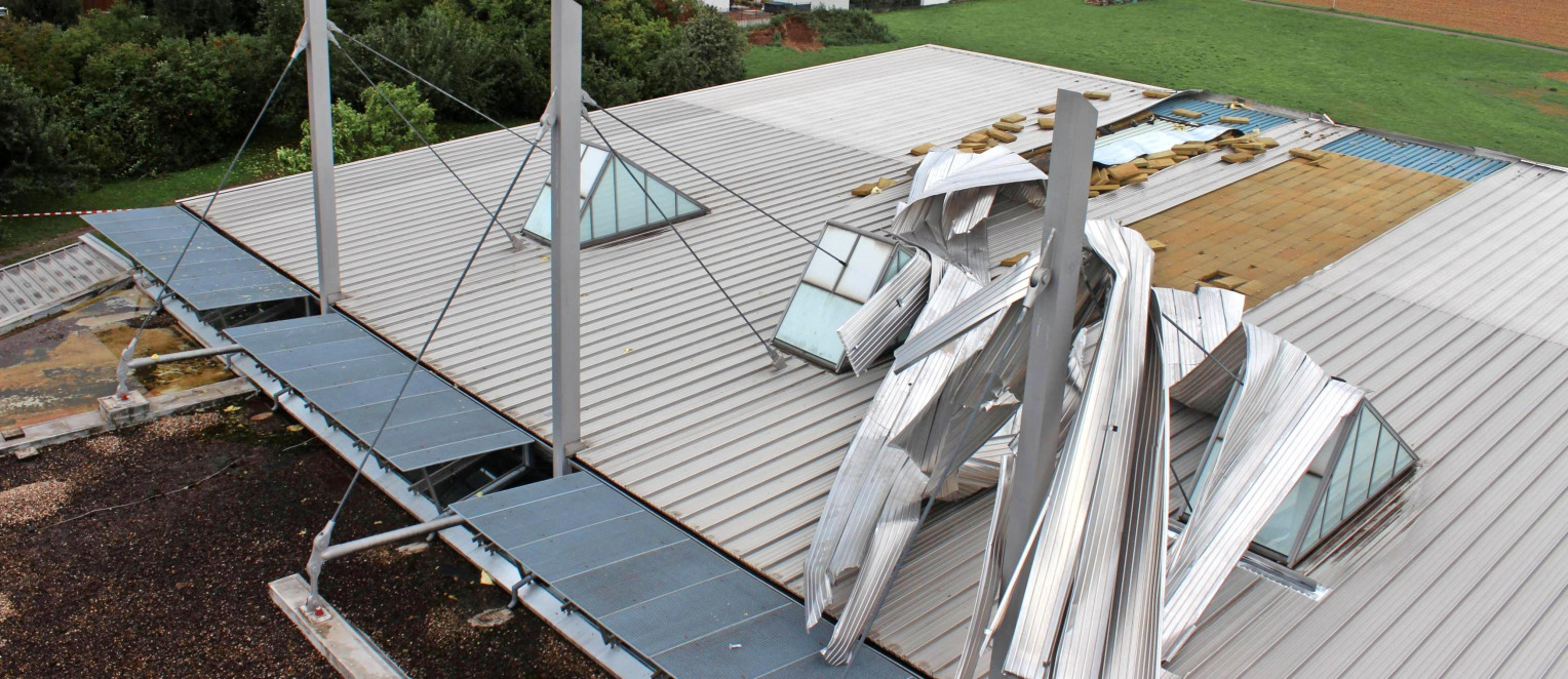 Neckarsulmer Stimme-2