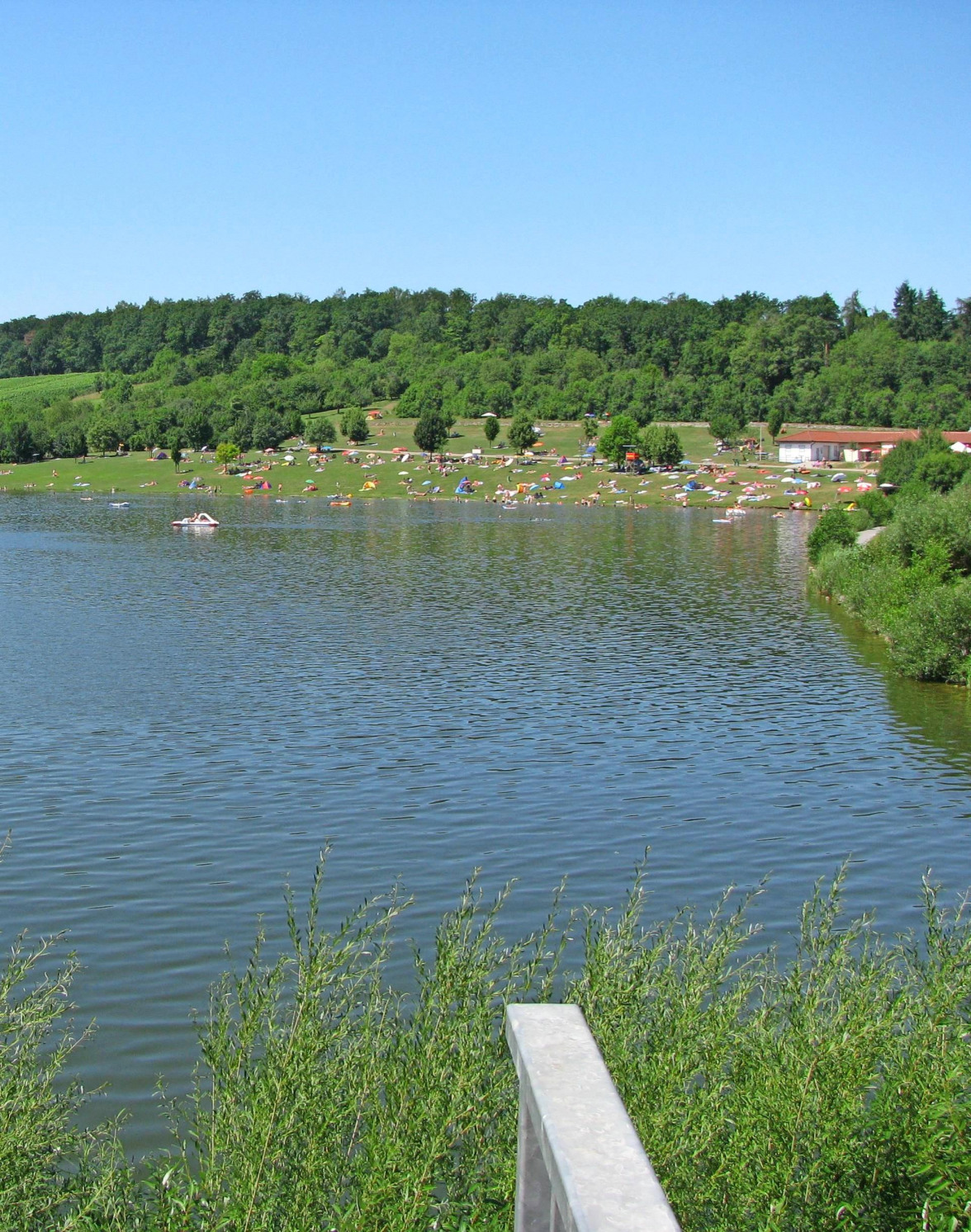 Güglingen radelt erstmals für gutes Klima-2