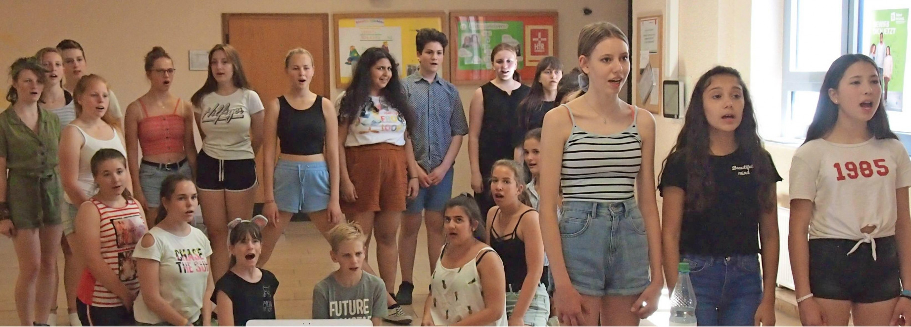 Neckarsulmer Stimme-2