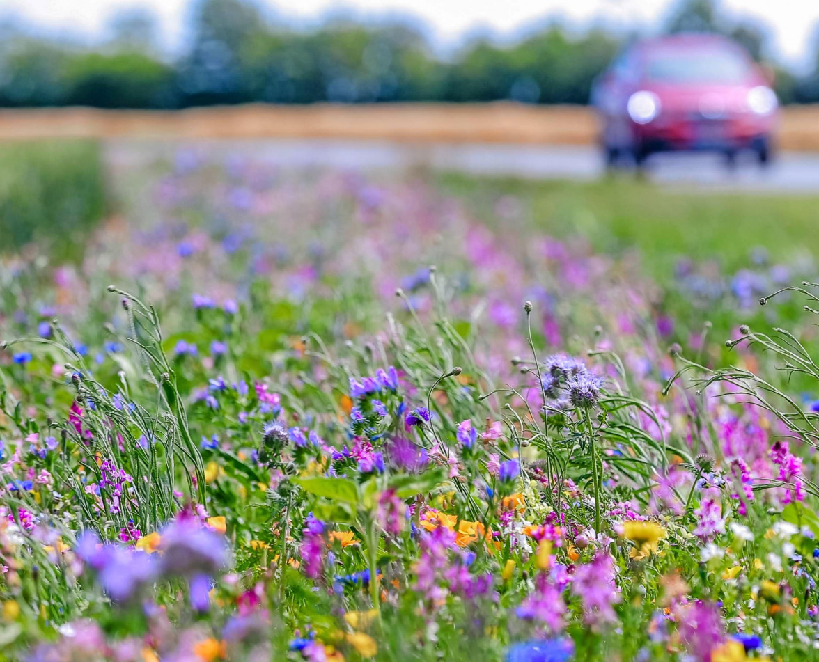 ÖPNV-Anbindung der Neckarsulmer Gewerbegebiete-3