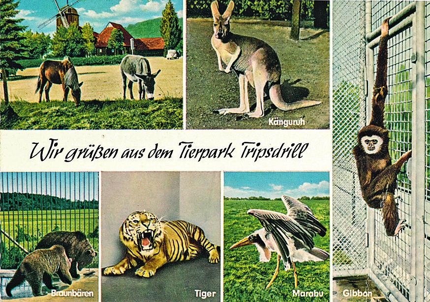 Streifzug durch die Vergangenheit-4